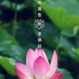 小老鼠爱吃带鱼