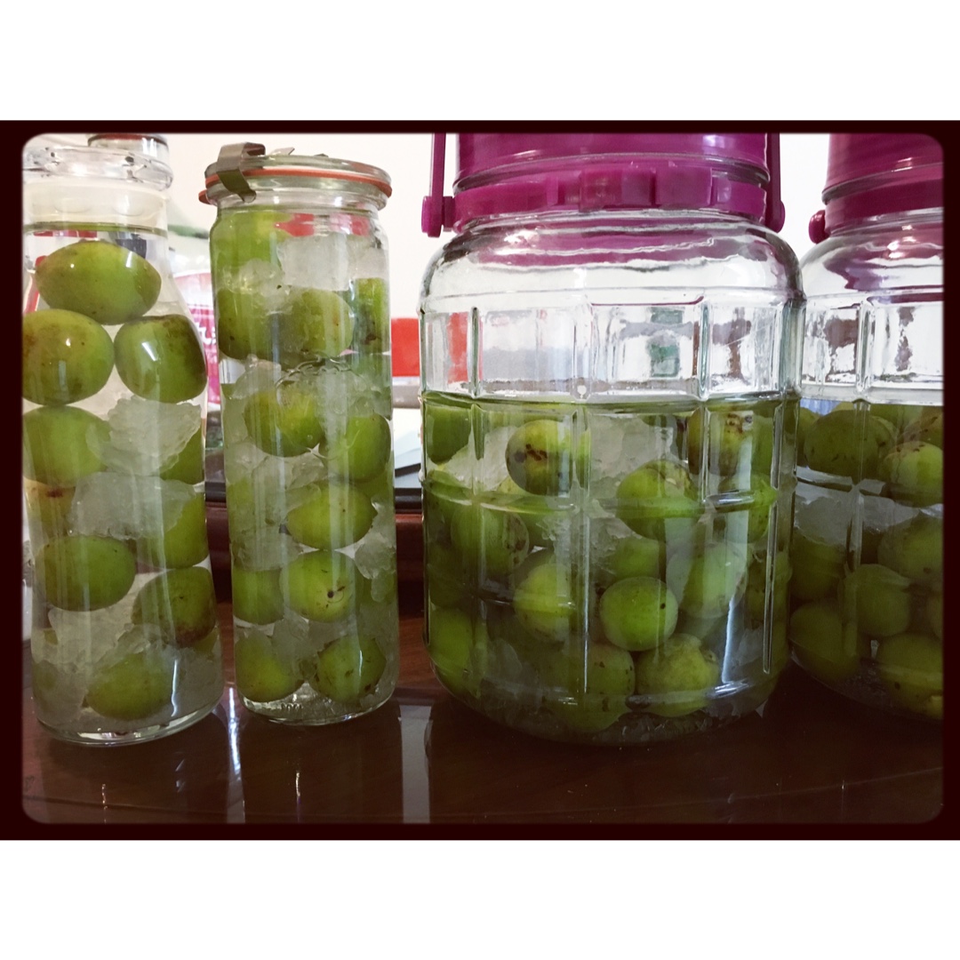 青梅酒（优的春日私酿第二話）