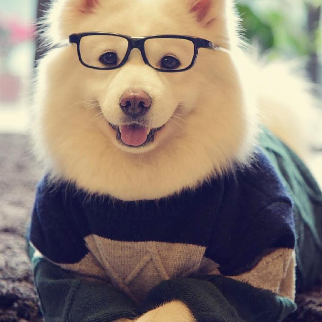 不想干活的吃货