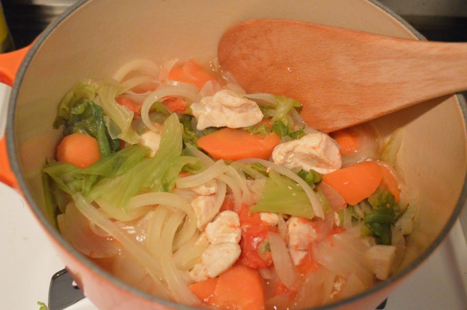 无水无油铸铁锅鸡肉炖菜