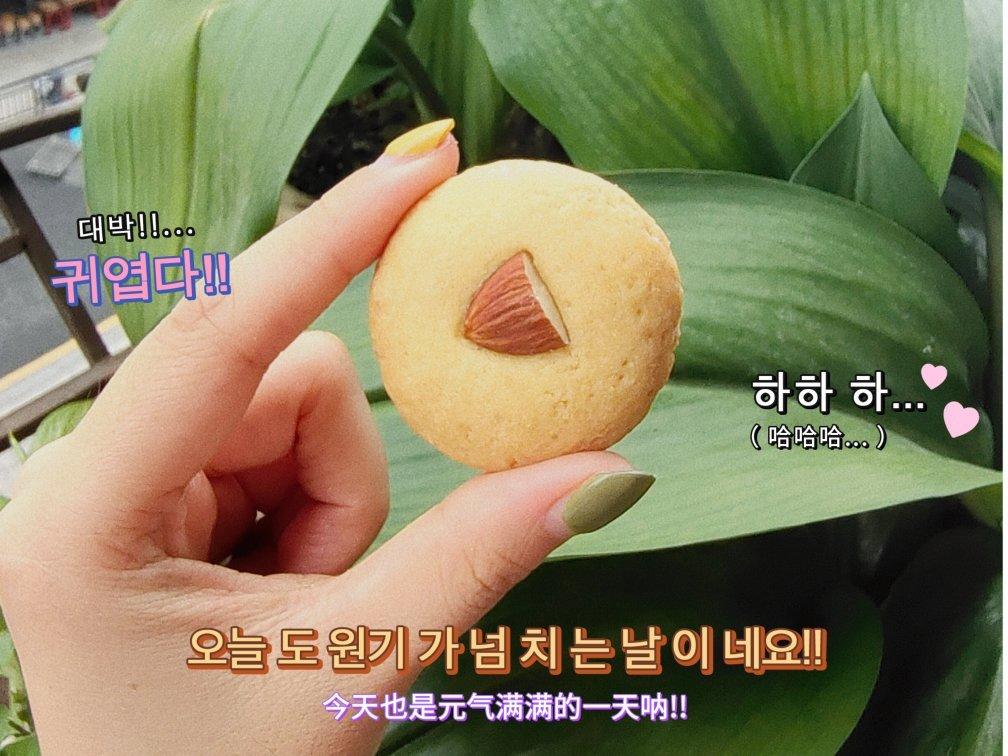 好吃到停不下来❗️莎布雷曲奇小饼干