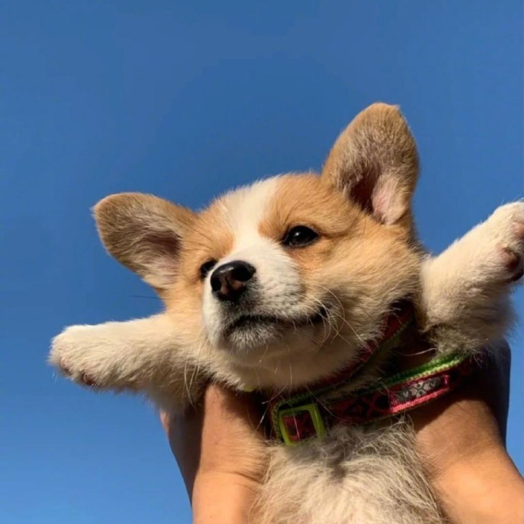 生辰庚