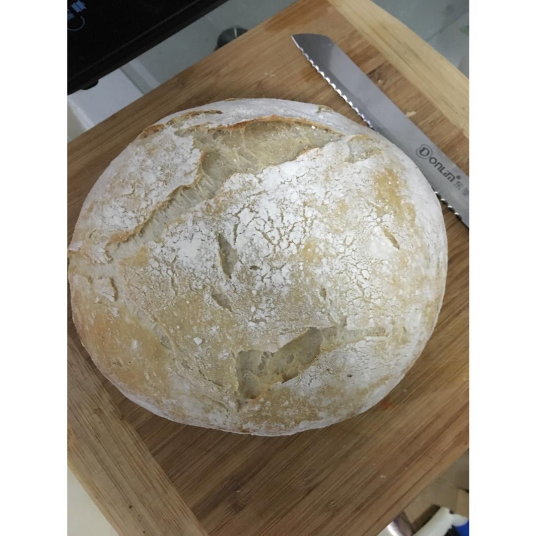 欧包/乡村面包-无油不用揉 No Knead Bread