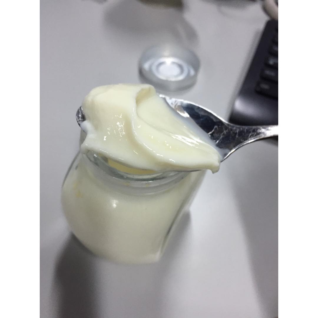 无需酸奶机的自制酸奶