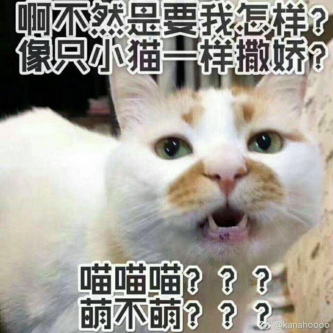略略略不会做