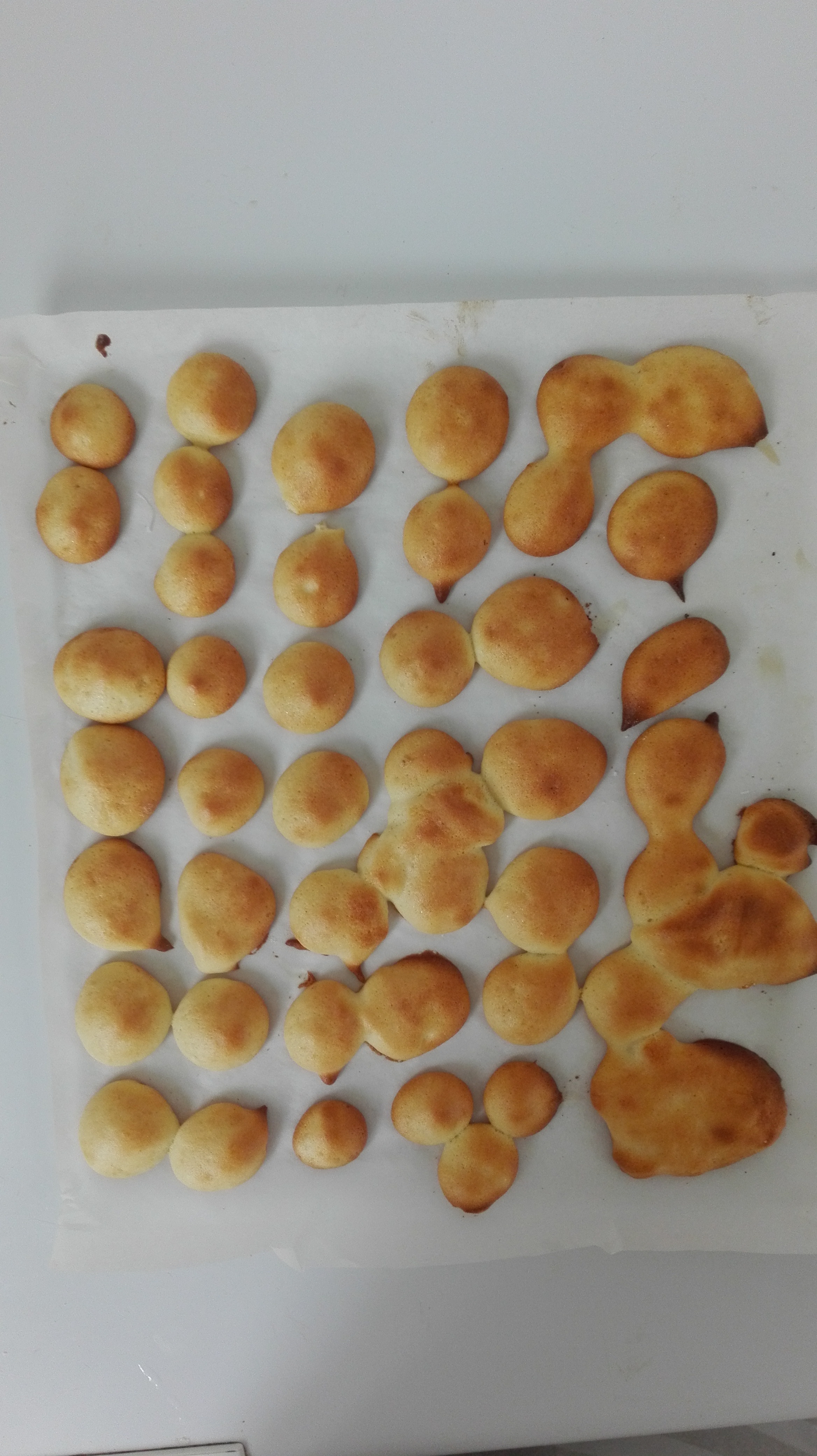 婴儿辅食版蛋奶小饼干（简单快手）