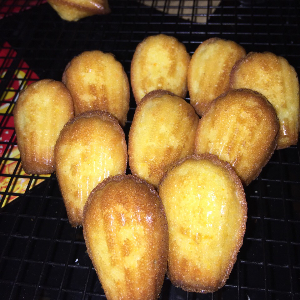 玛德琳（蓝带方）