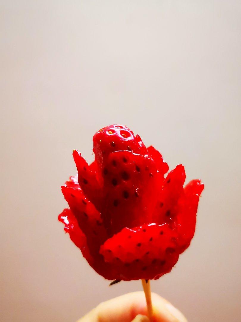 燕语呢喃_g2zi做的草莓玫瑰花