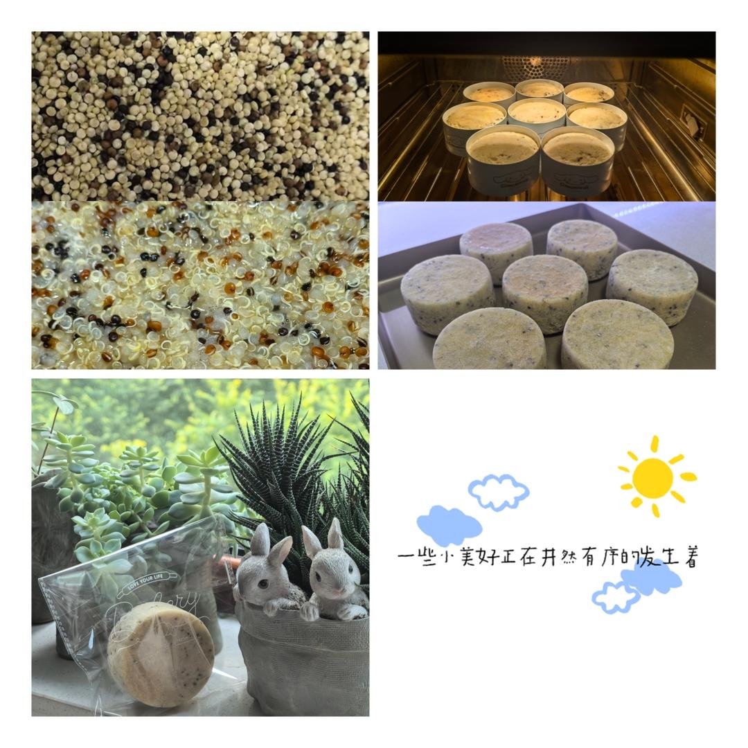 多谷物种子全麦麦芬