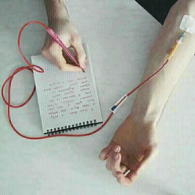 暘谷扶桑