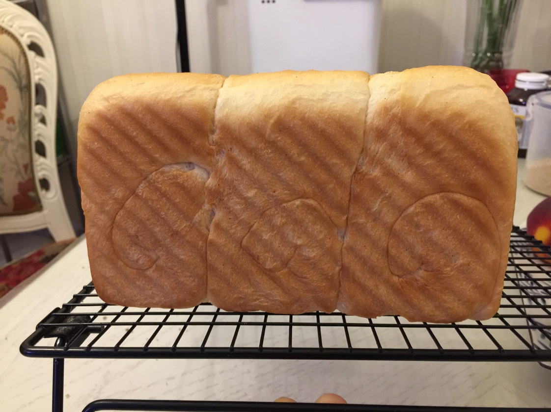 酸奶吐司～17小时冷藏中种法