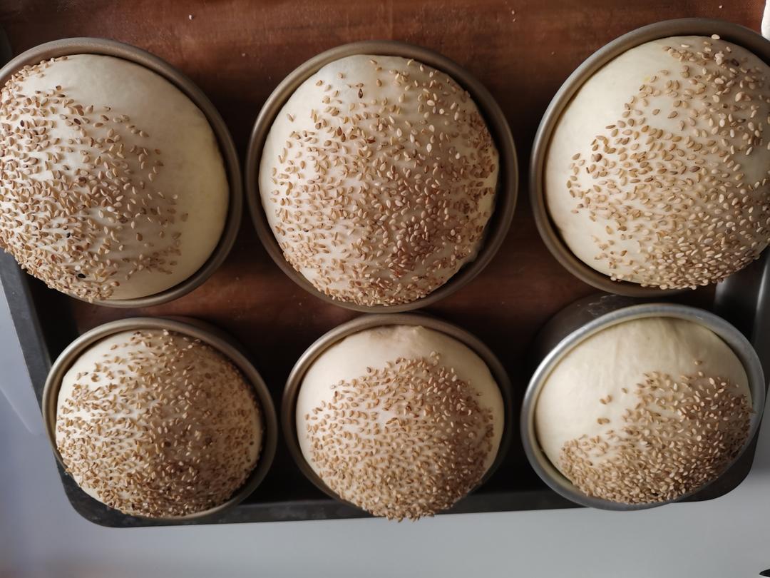 汉堡（基础汉堡胚做法）