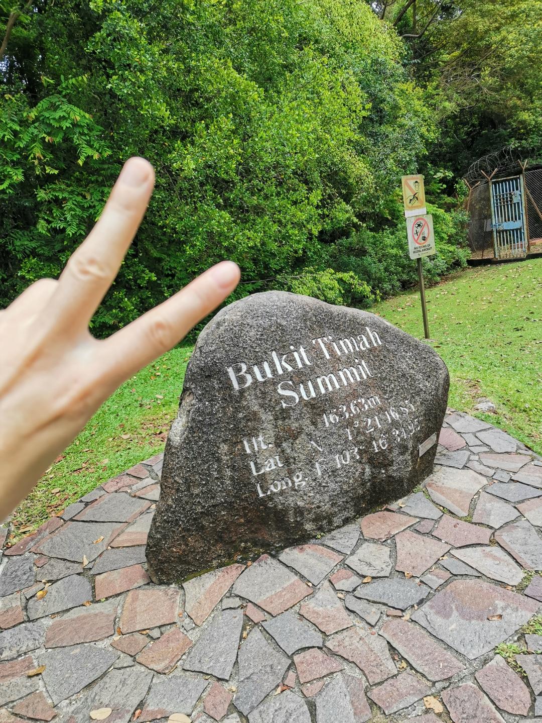 顶级巧克力花式艺术制作