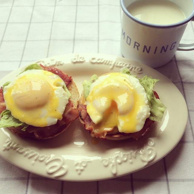 班尼迪克蛋 eggs benedict