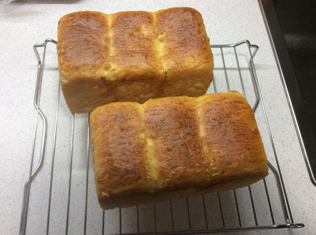 基础面包制作 Basic Bread (Loaf&Roll)