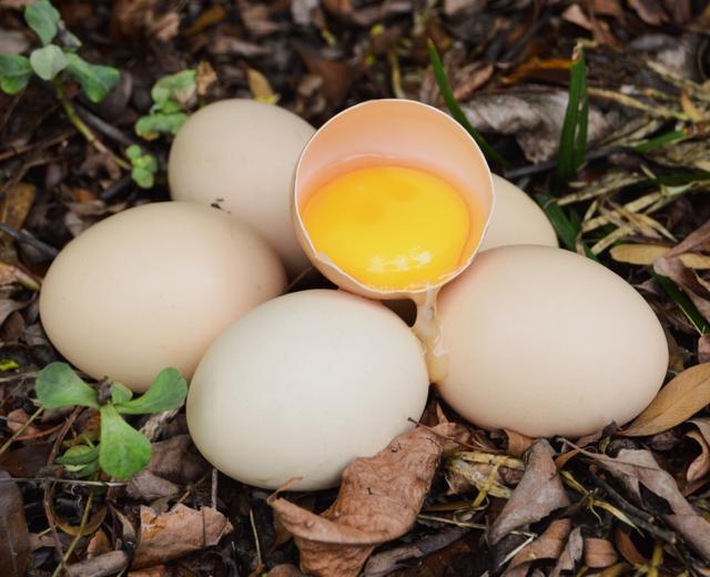 百变鸡蛋的做法