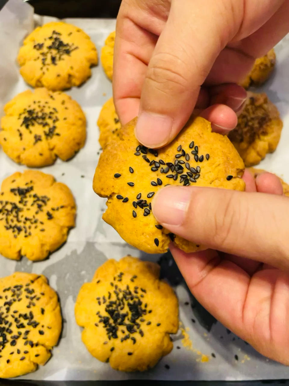 零失败自制桃酥❗️一次成功❗️酥到掉渣❗️