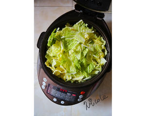 白菜土豆炖粉条（伊莱特炒菜机器人）的做法 步骤8