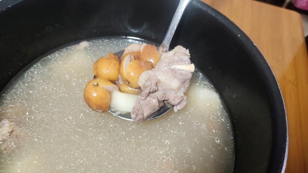 黄皮排骨汤