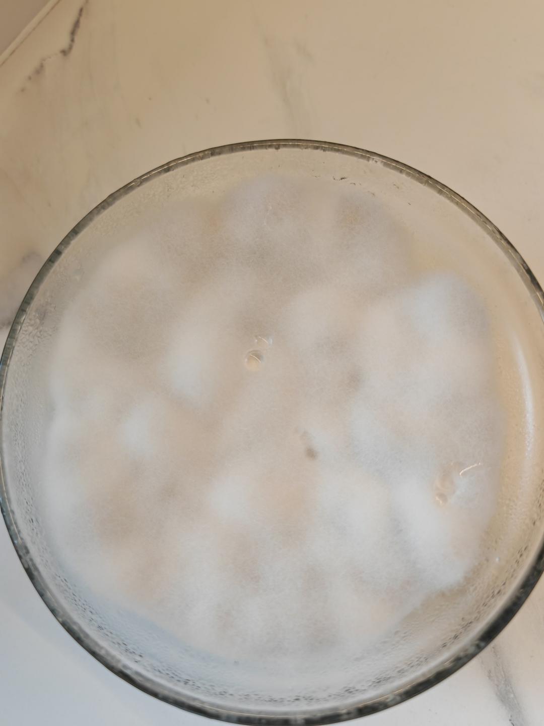 自制鹰嘴豆天贝丨发酵·豆类