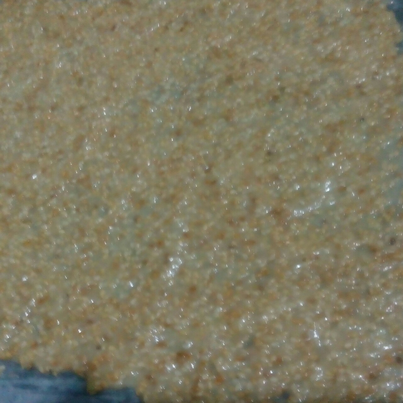 芝麻脆饼 饼干