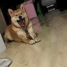 偷溜进厨房