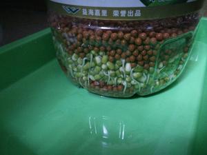 自制绿豆芽的做法 步骤5