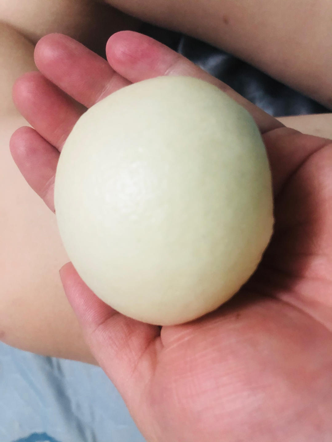 新手做馒头也能100%成功——附上非常详细的视频步骤（一次发酵法）