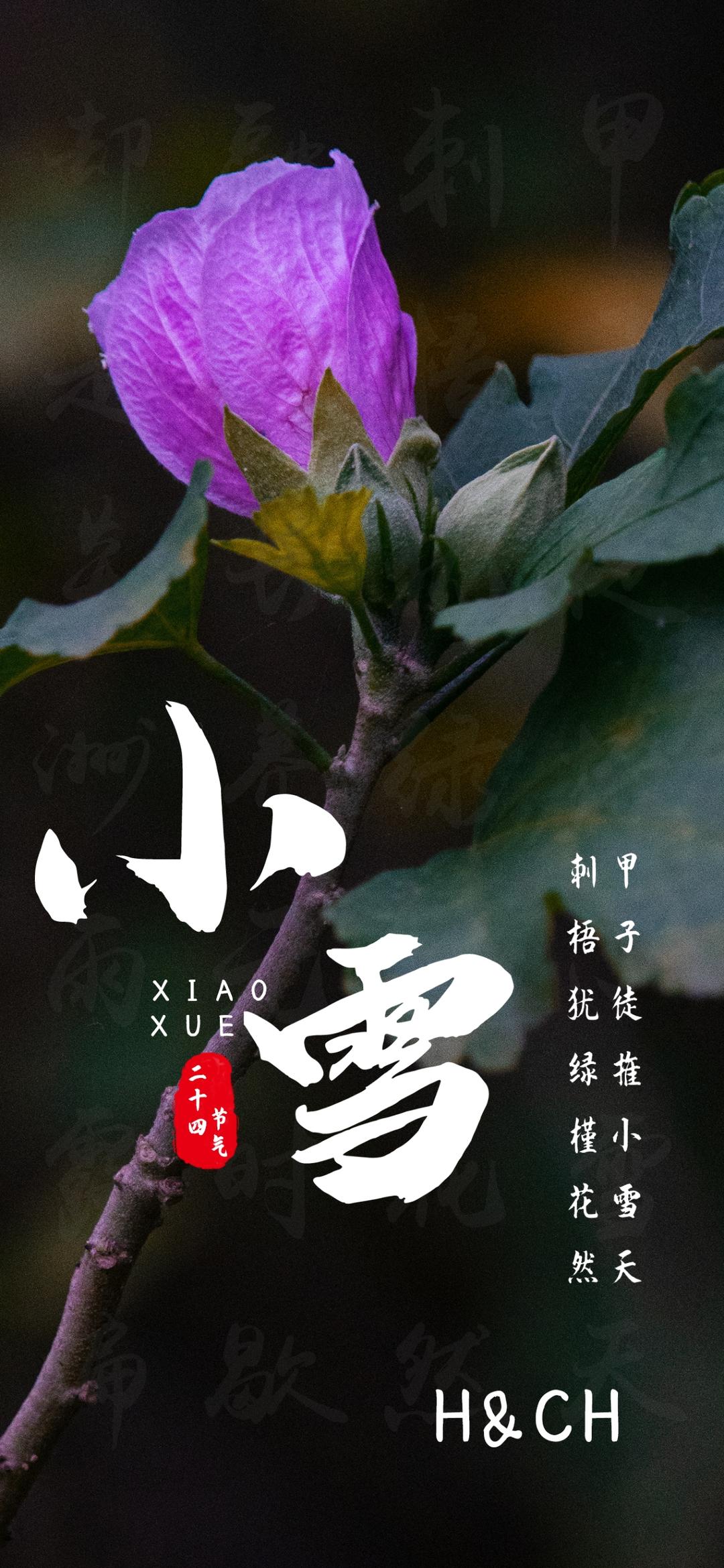 二十四节气的图