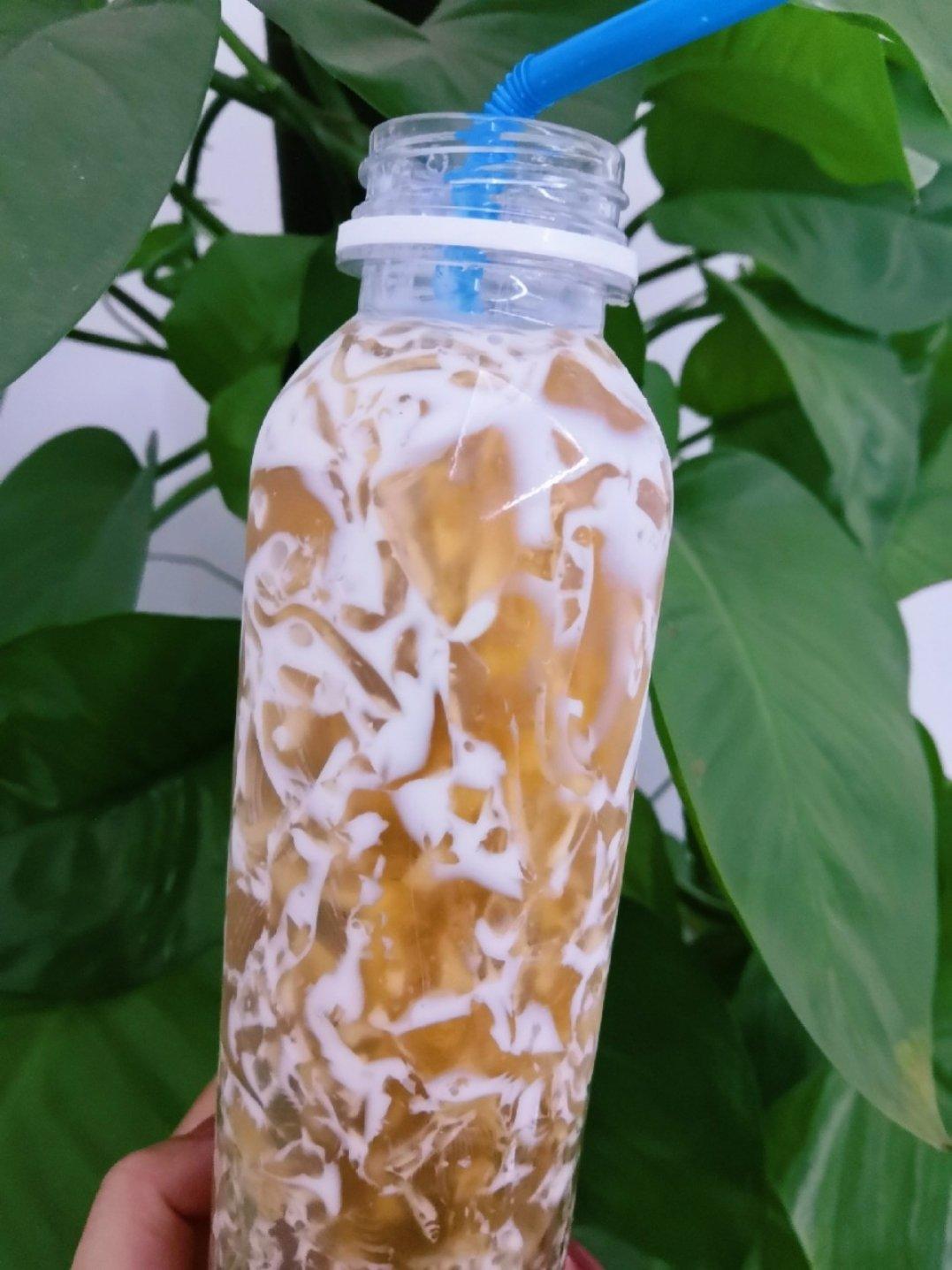 海底椰膏