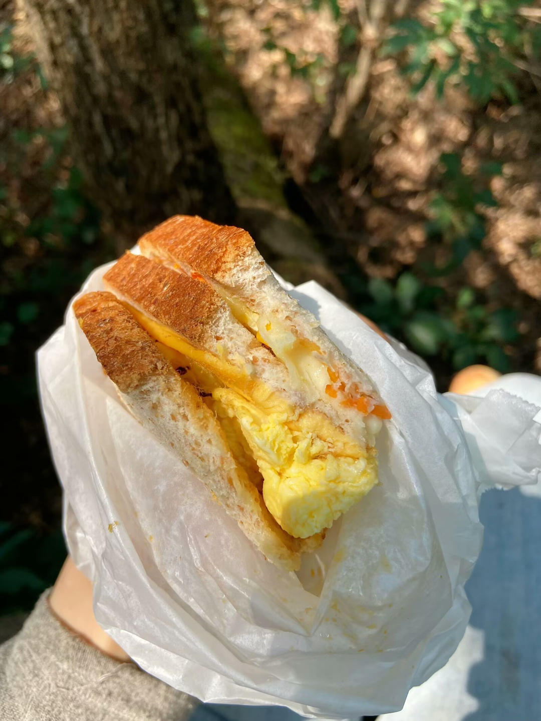 🥪三明治的神仙吃法 l好吃且简单、健康有营养