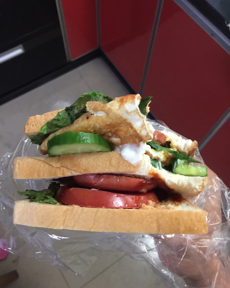超豪华的巨无霸健康三明治