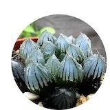 手机用户2728_8zyf