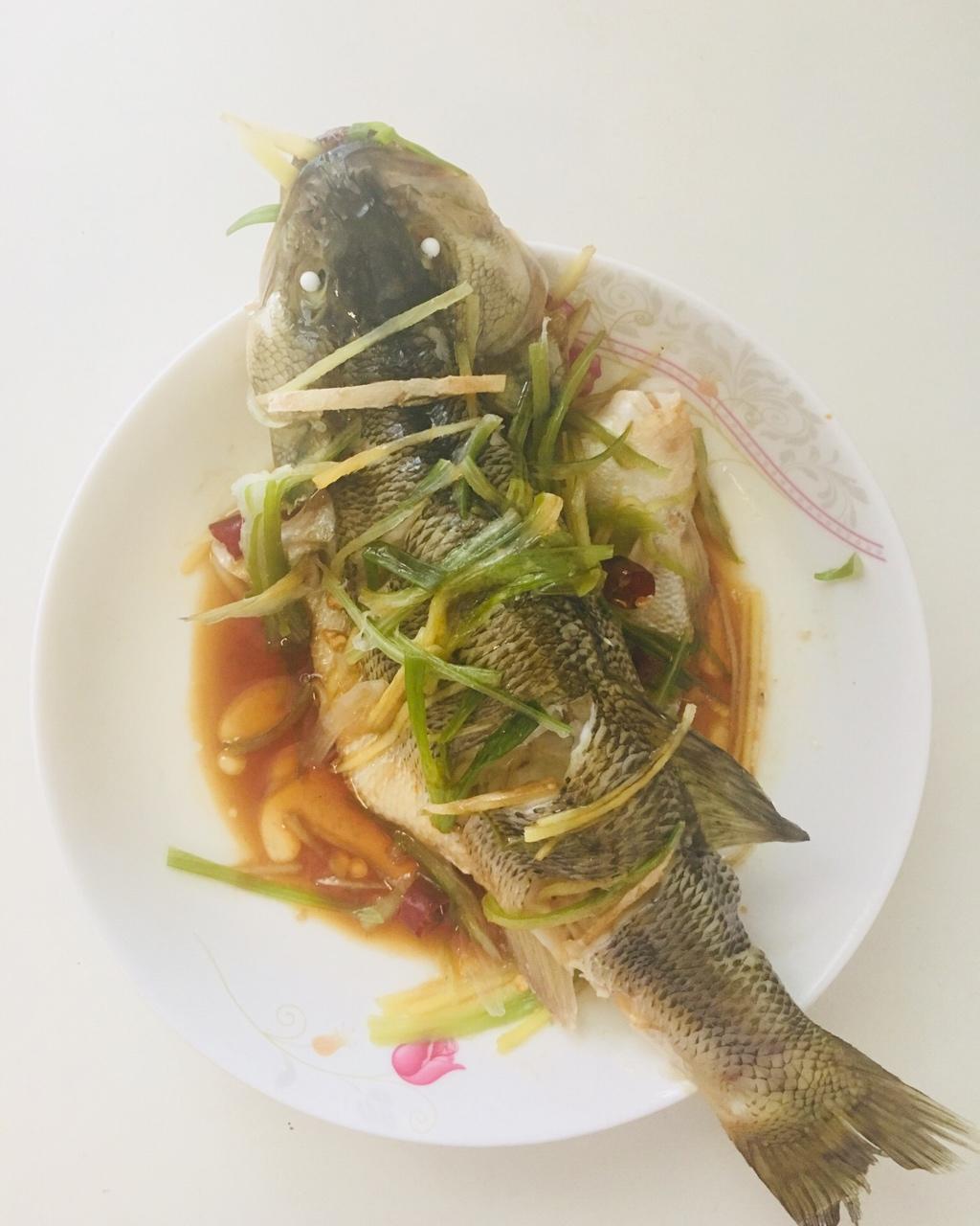 超入味清蒸鱼～清蒸鲈鱼桂花鱼（家常独创）