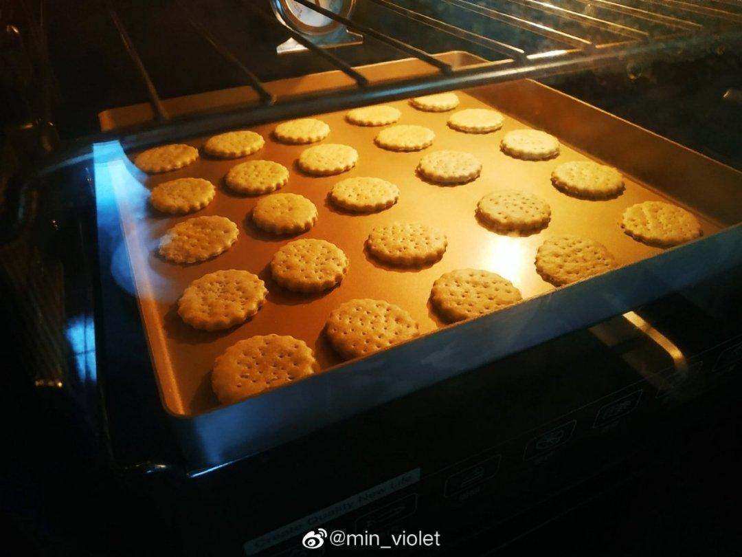 无糖葱香梳打饼干