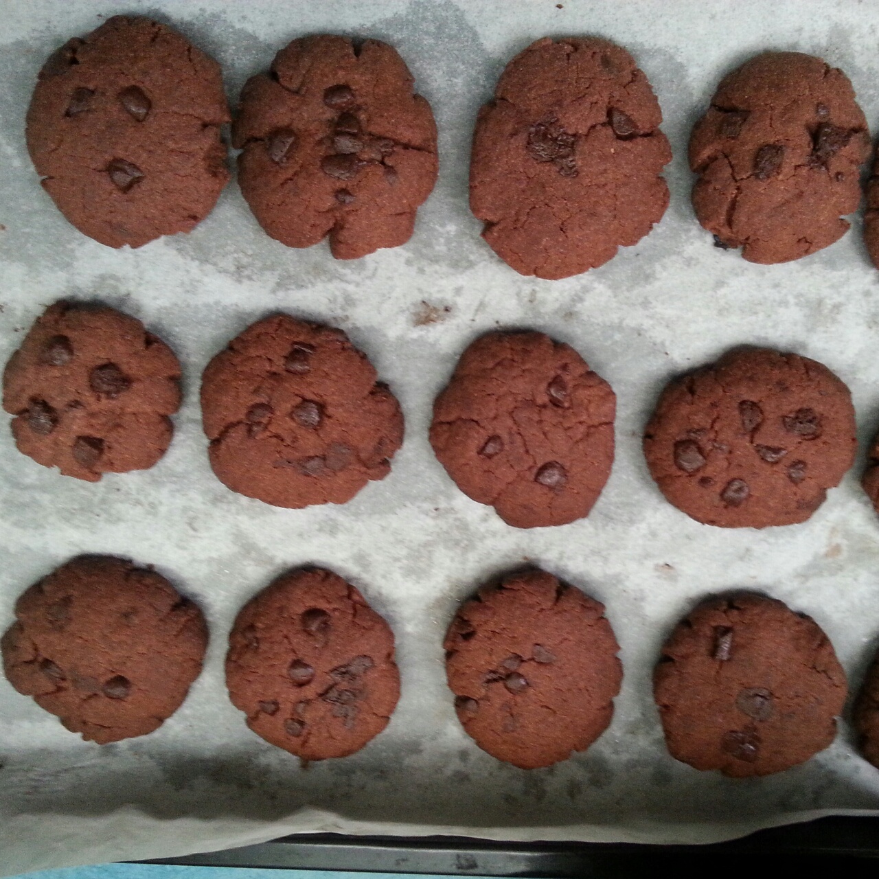 无黄油版巧克力豆饼干（类似趣多多）