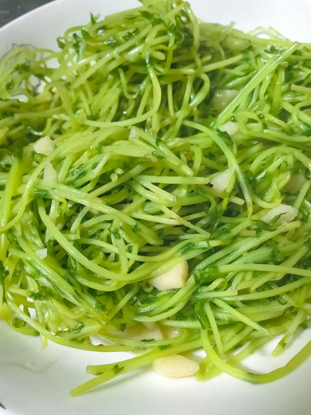 清新豌豆苗