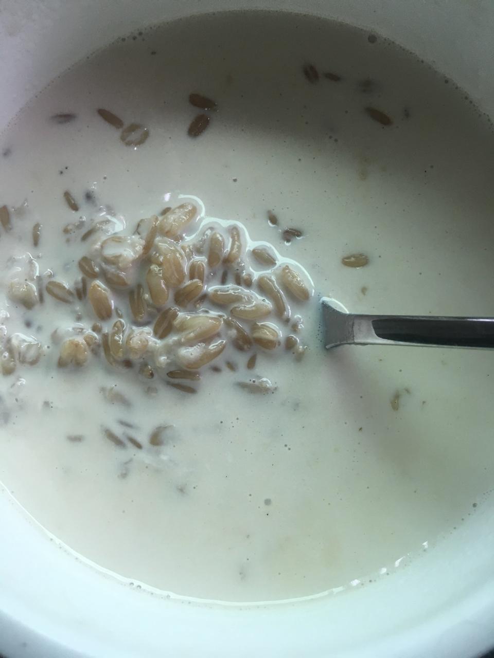 牛奶燕麦粥
