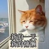 园游天津