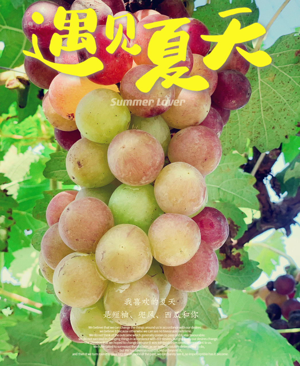 喜欢麻烦的麻烦鬼