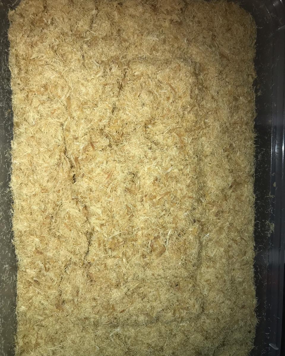 婴儿无盐肉松（烤箱版）