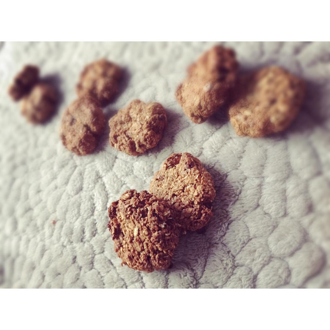 减肥零食燕麦饼干