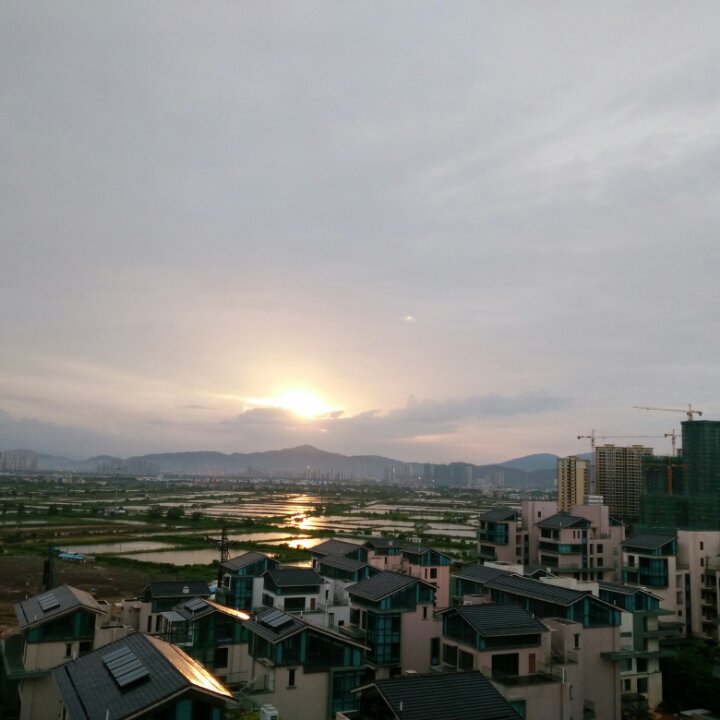 铃铛1984