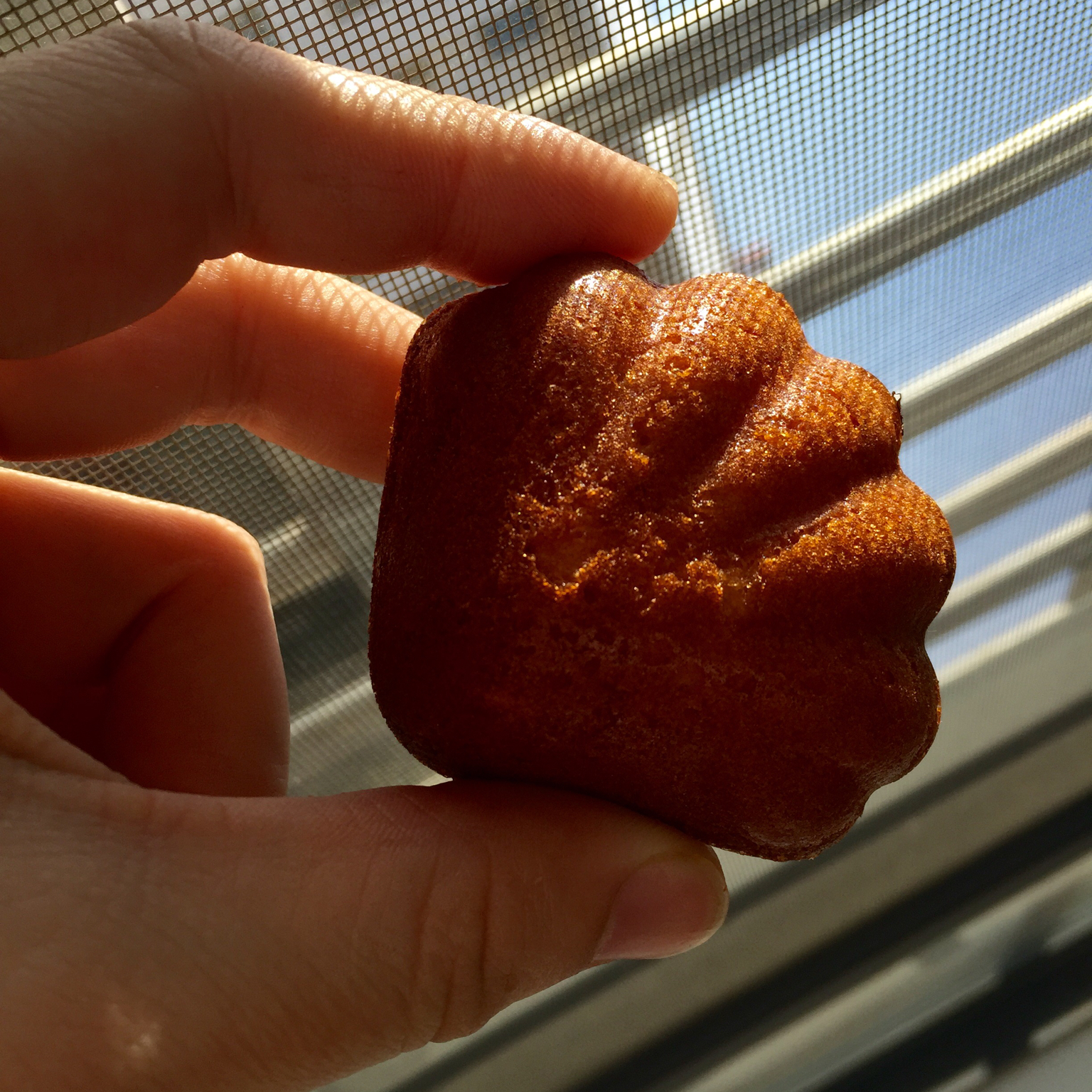 香蕉牛奶玛德琳