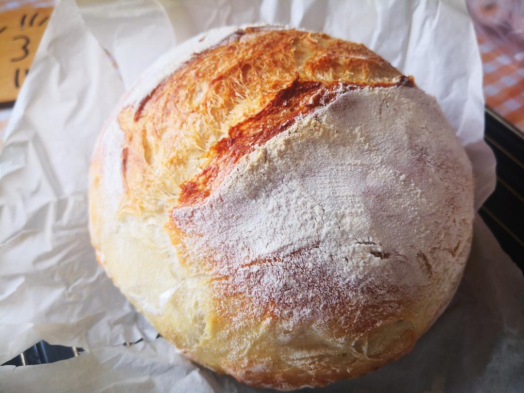 基础欧包练习-室温折叠隔夜冷藏（波兰种）