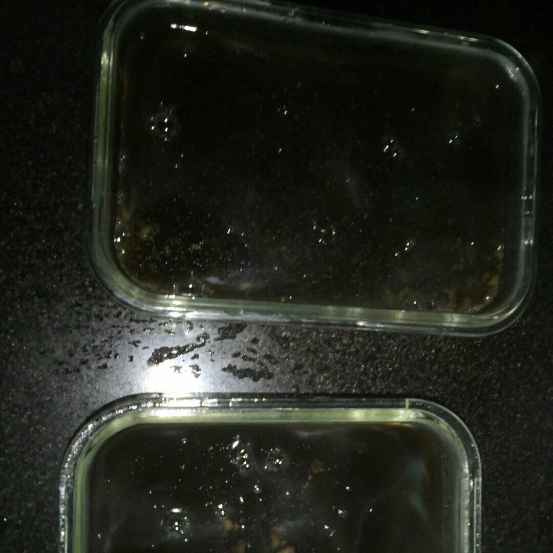 清热去湿茯苓膏
