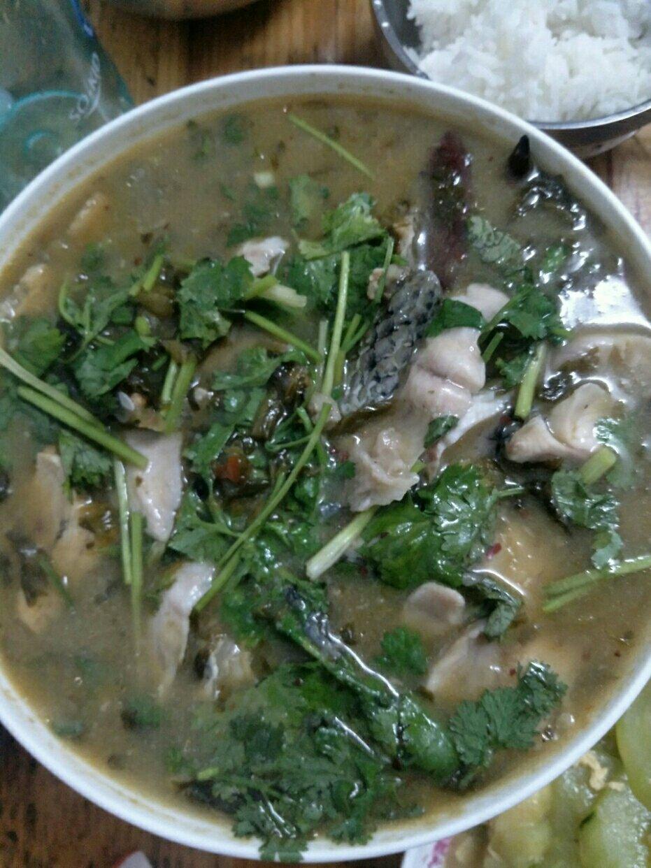 家常酸菜鱼（黑鱼）