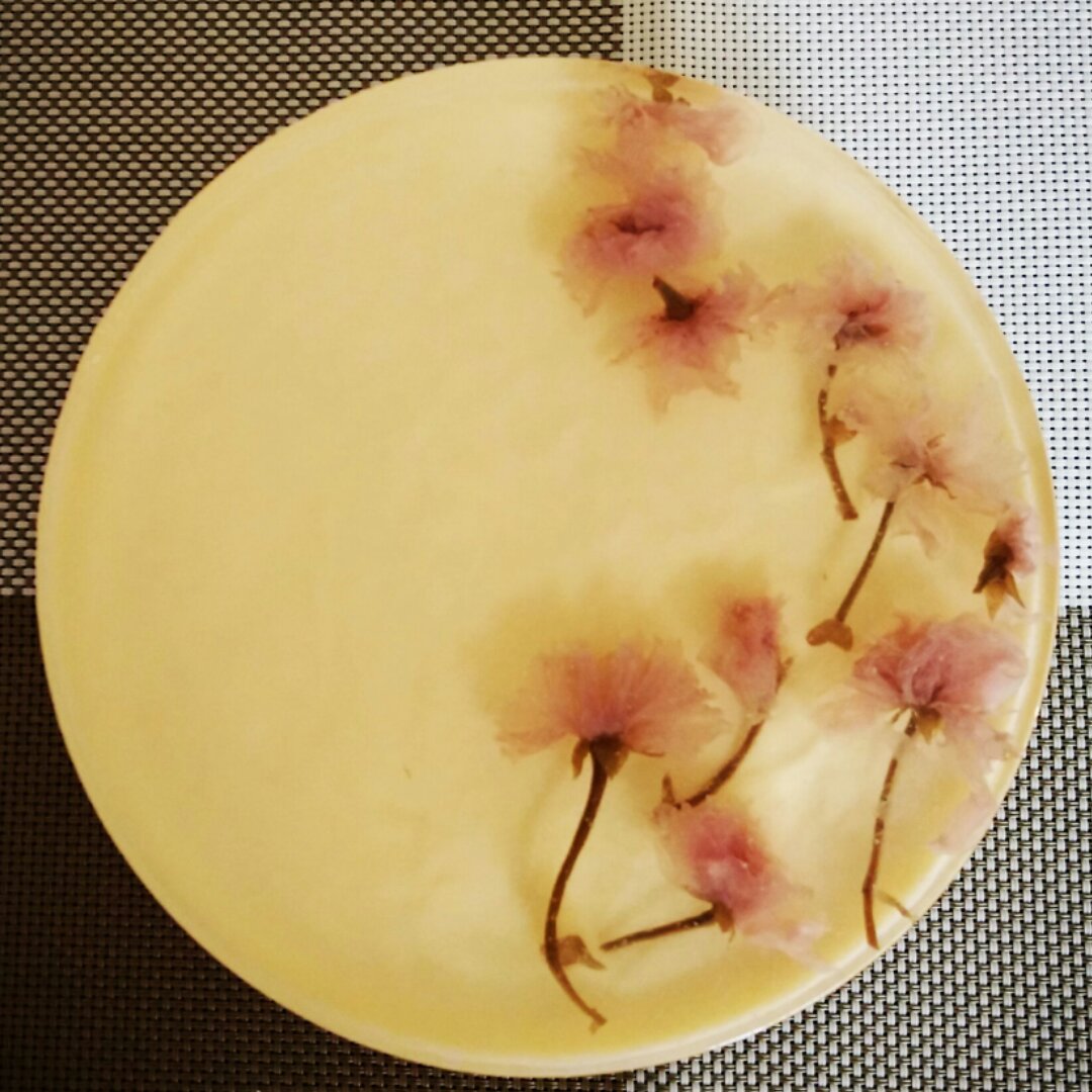 🌸樱花冻芝士蛋糕🌸6寸