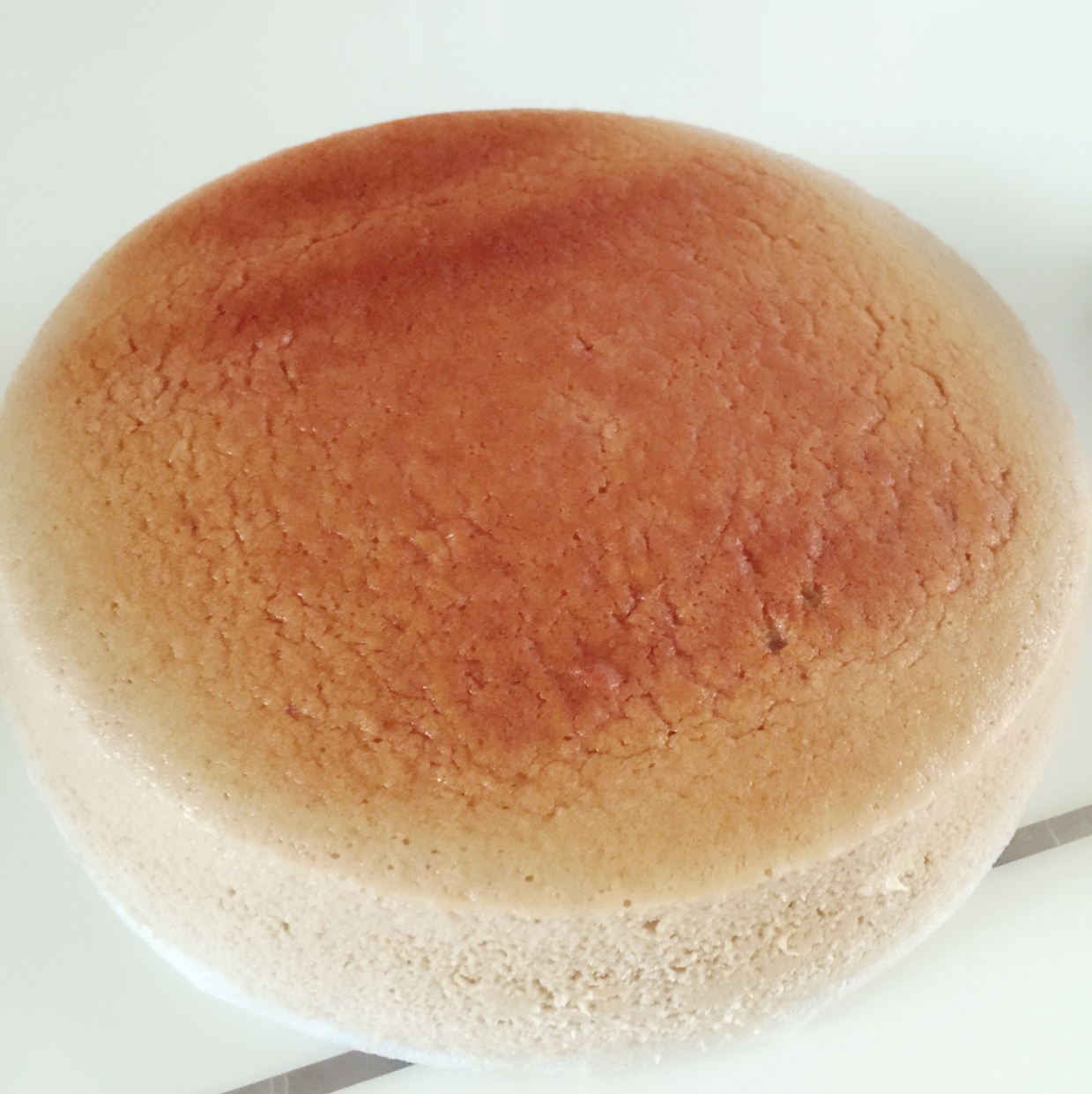 轻乳酪芝士蛋糕6寸#皮黑森林#
