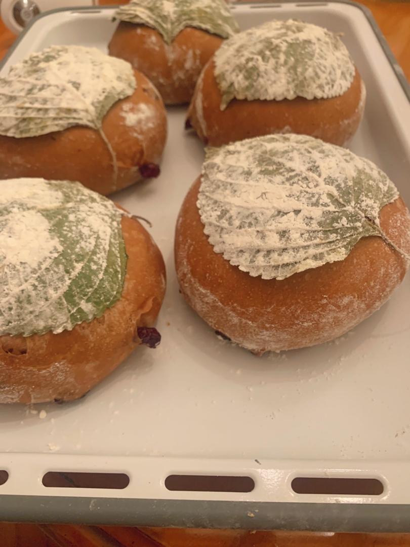 巧克力蔓越莓软欧 Rano Bread
